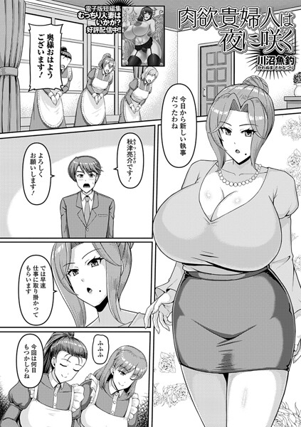 単話★肉欲貴婦人は夜に咲く（単話）（単話）｜川沼魚釣